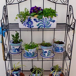 Bed & Breakfast Casa Louisa, Torre Del Mar- Valleniza, Velez Malaga